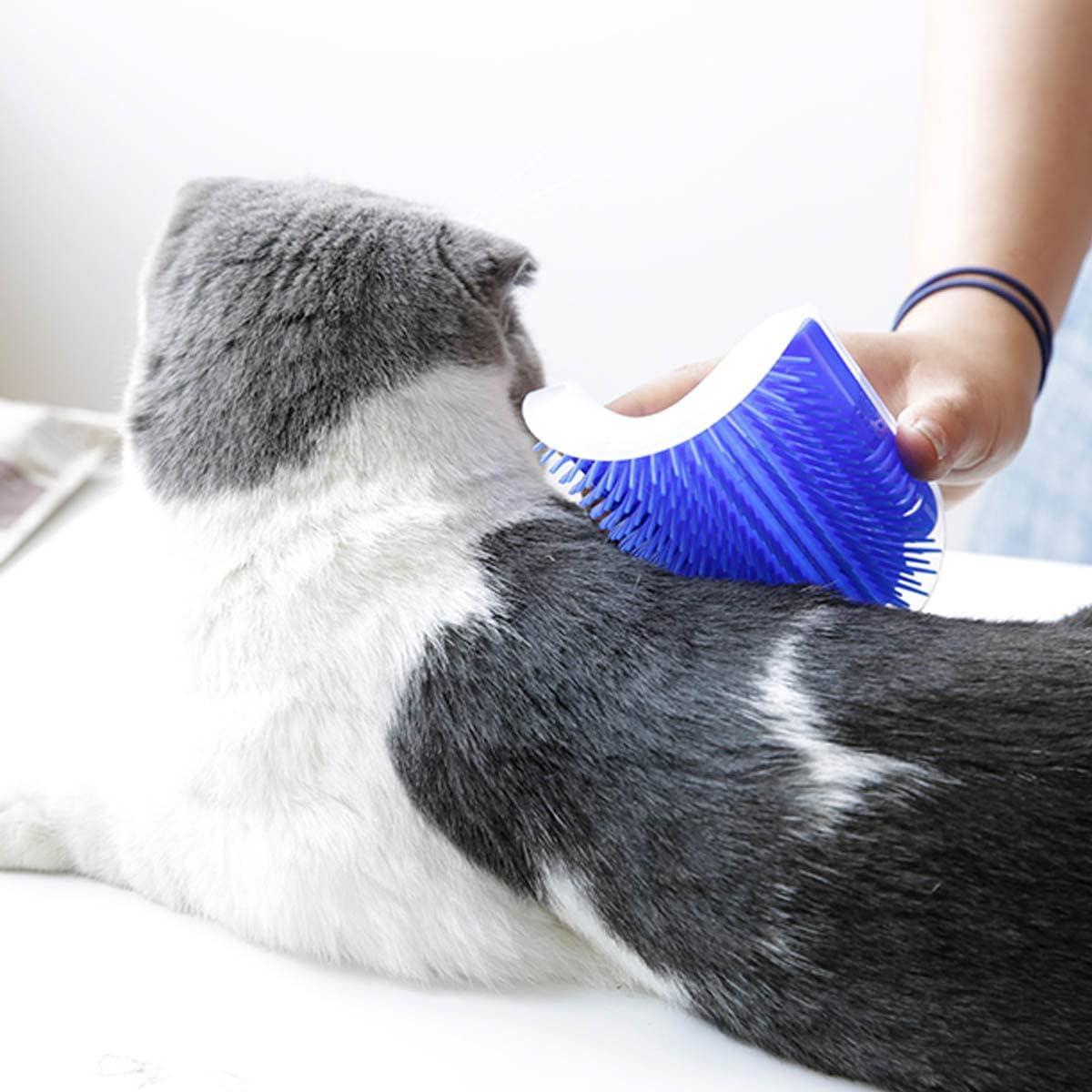 Grattoir Chat - PurrCornerGroomer™ - Bleu