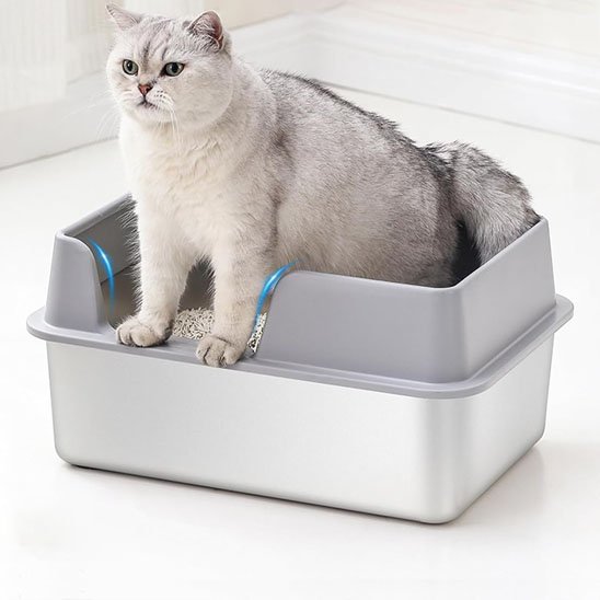 bac à litière pour chat double niveau avec chat