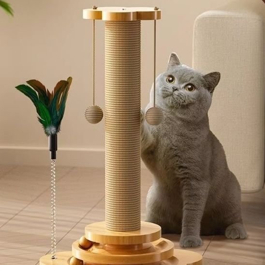 Griffoir chat avec chat gris foncé