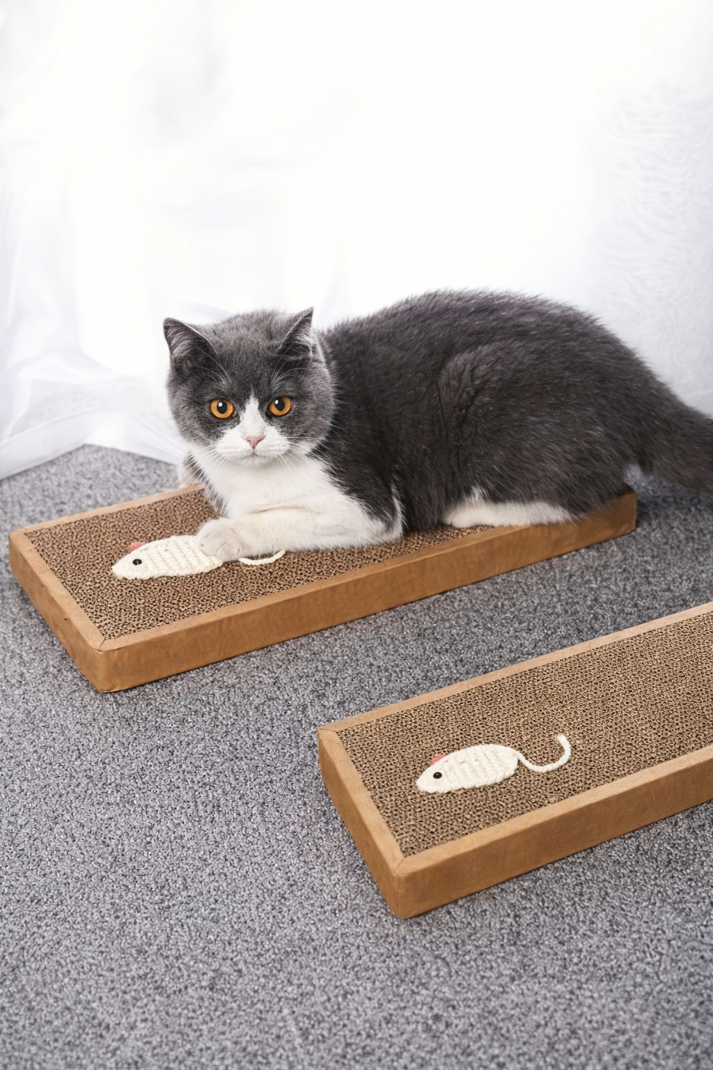 Griffoir pour chat | Planoâą