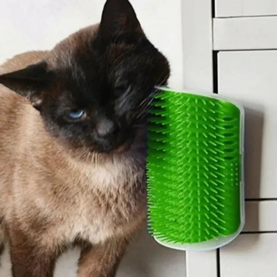 Grattoir Chat - PurrCornerGroomer™ -  Vert