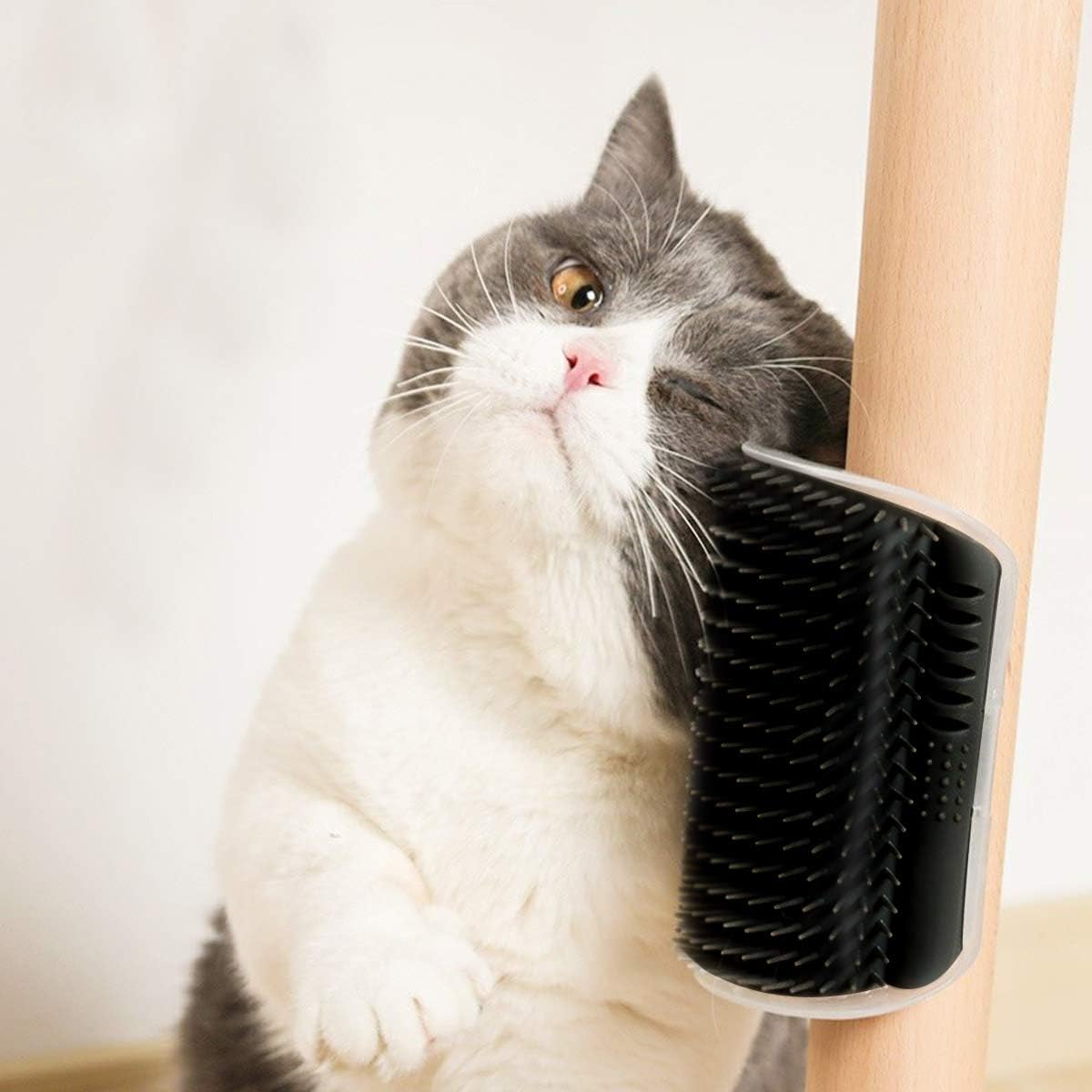 Grattoir Chat - PurrCornerGroomer™ -  Noir