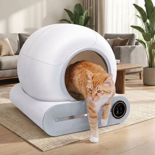 bac à litière chat intelligente