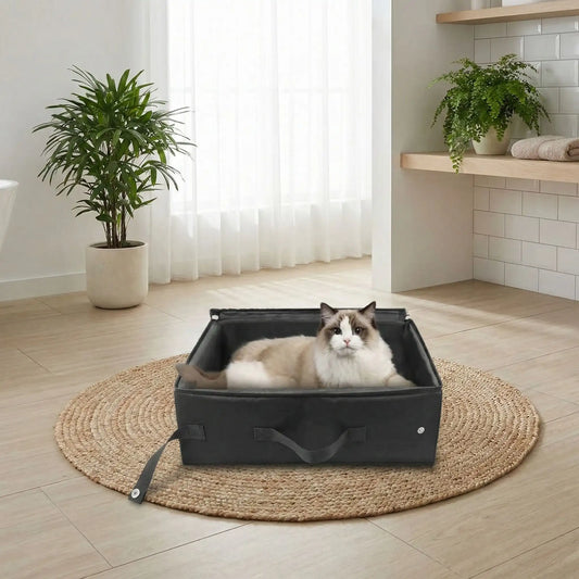 bac à litière chat portable salon éclairé