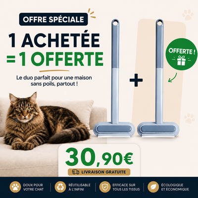 brosse anti poil offre une acheté une offerte