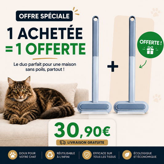 brosse anti poil offre une acheté une offerte