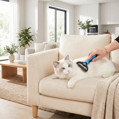 brosse pour chat bleu salon