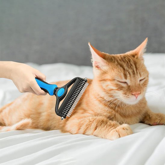 Brosse pour chat