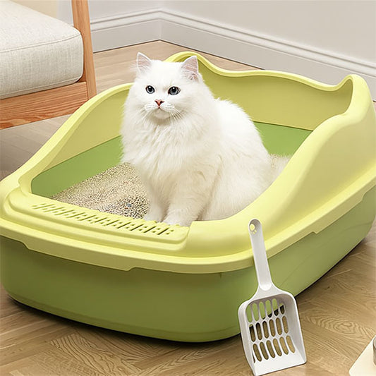 chat dans son bac à litière chat vert