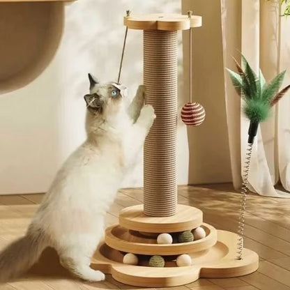 griffoir chat avec chat blanc yeux bleus