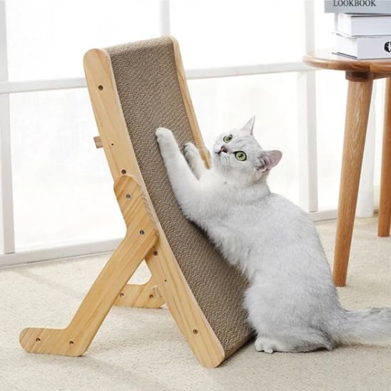 Griffoir chat avec chat blanc