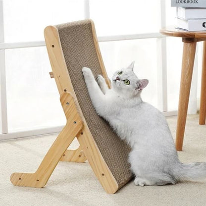 Griffoir chat avec chat blanc