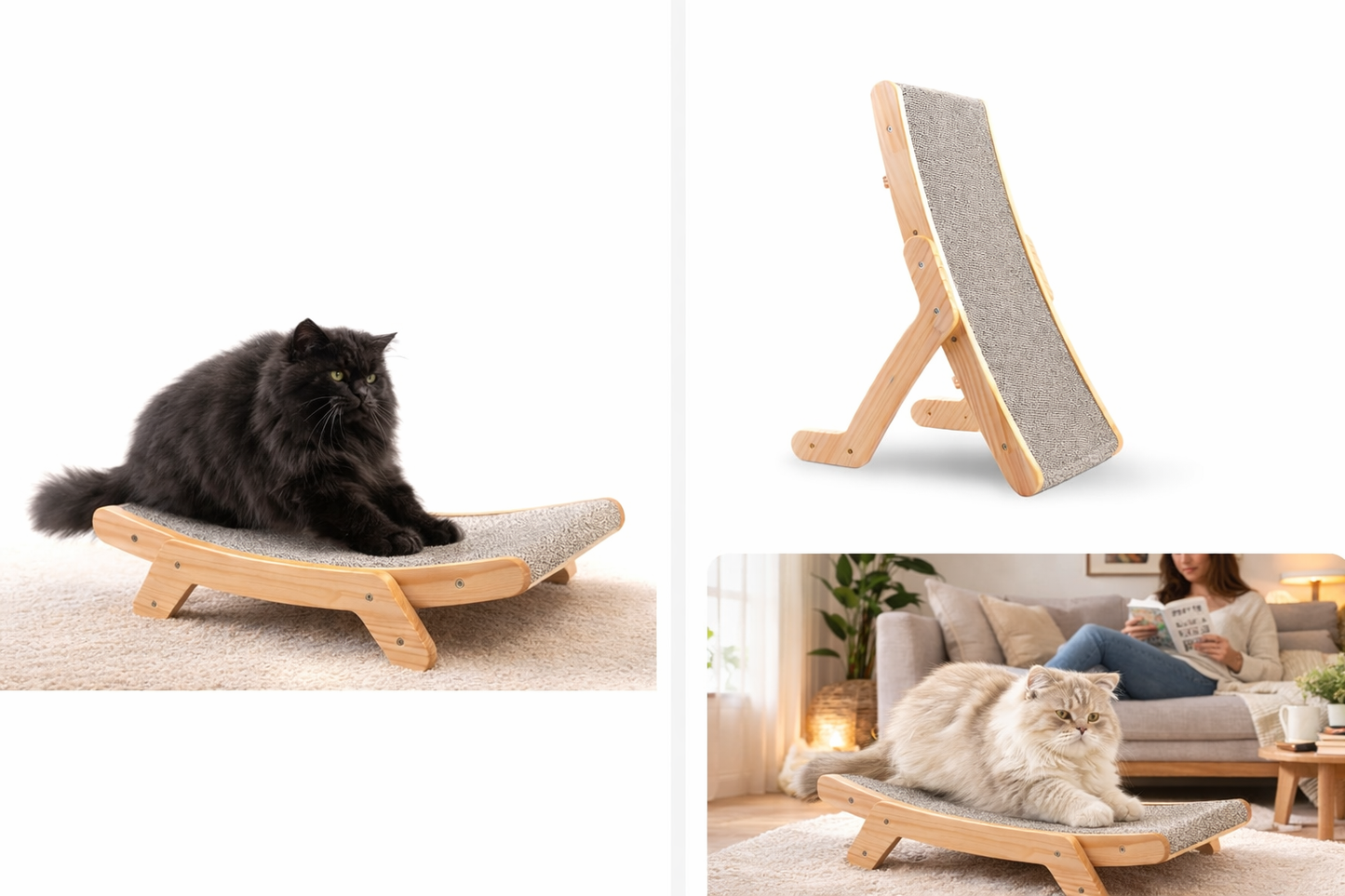 griffoir chat avec chat plat incliné
