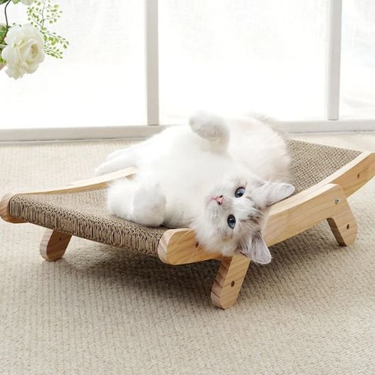 Griffoir chat blanc couché