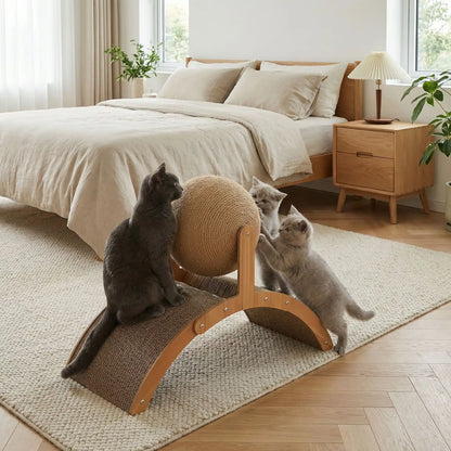 griffoir chat dans chambre maman chatte chatons