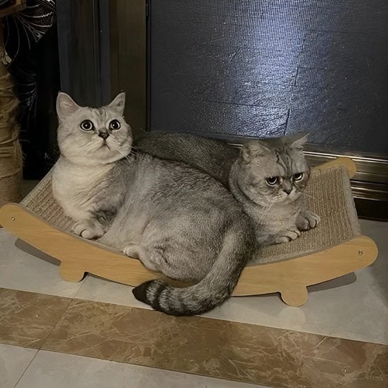 griffoir chat hammock deux chats