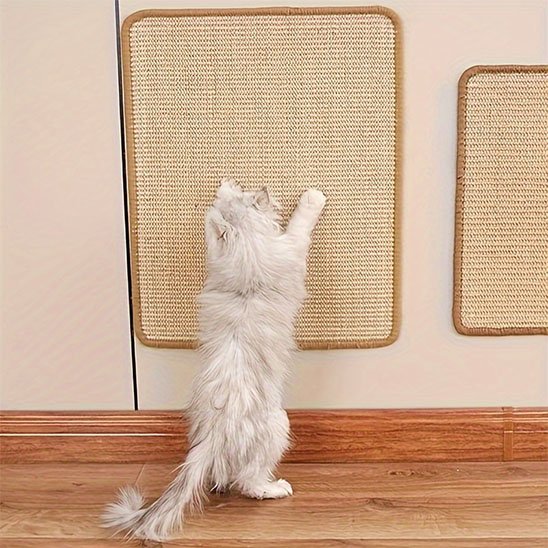 Griffoir chat polyvalent contre le mur