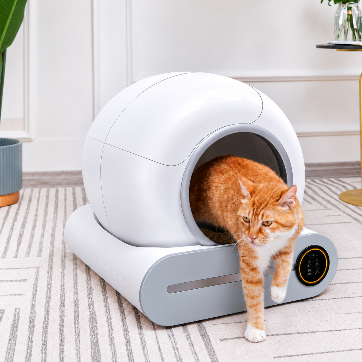 litière autonettoyante pour chat chat roux