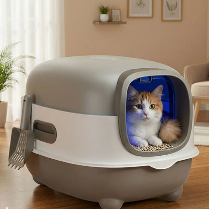 litière chat fermée salon chat