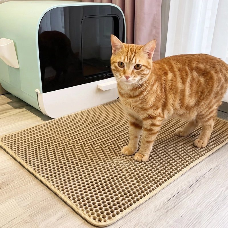 Tapis litière Chat avec chat tigre