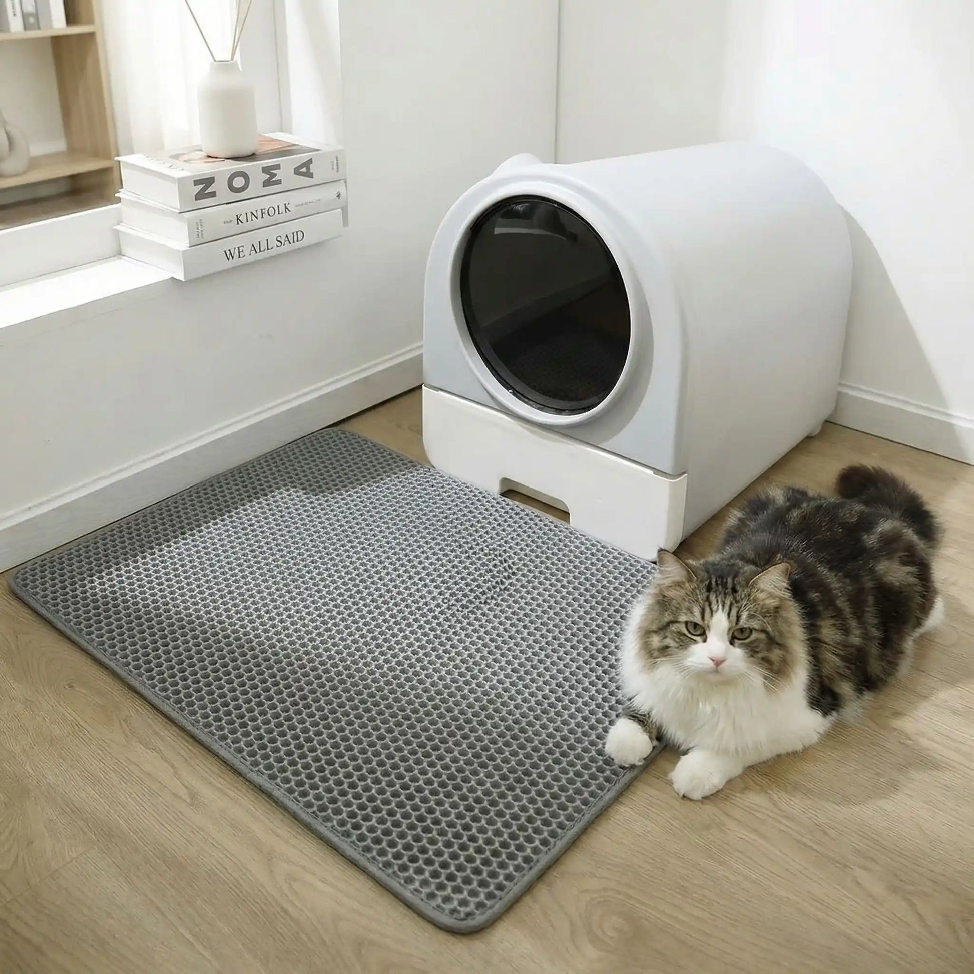 tapis litière chat gris salon chat