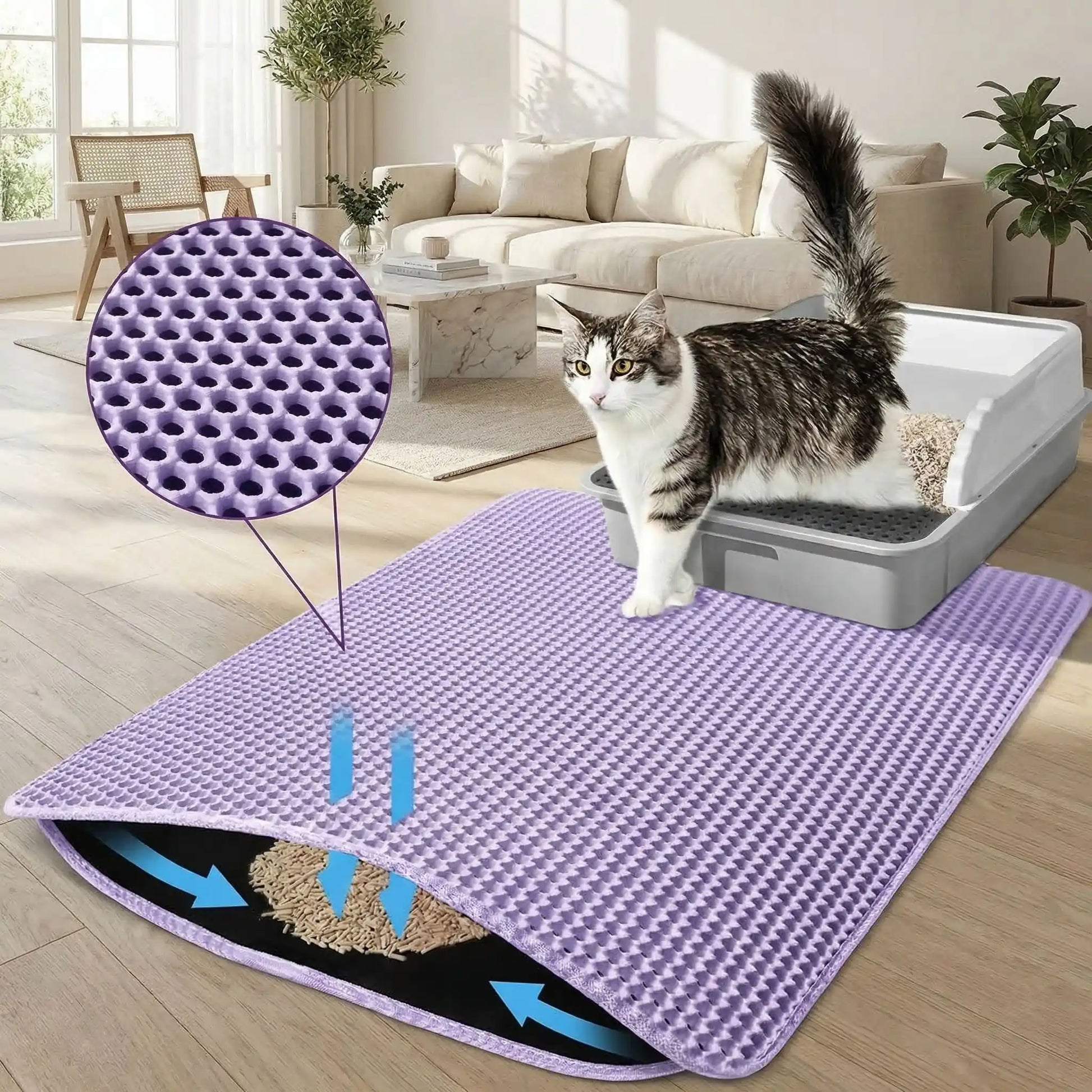 tapis litière chat hyper violet
