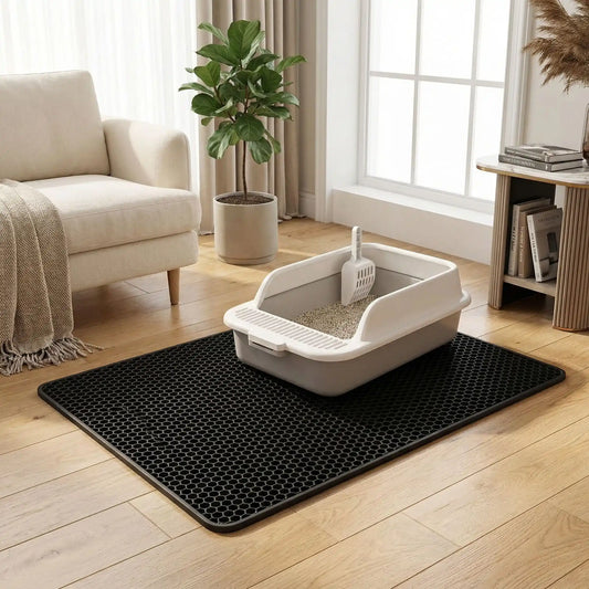 tapis litière chat noir salon fenêtres 